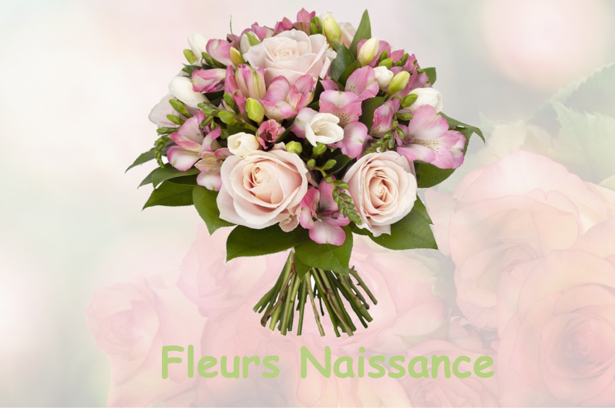 fleurs naissance ROQUEBILLIERE