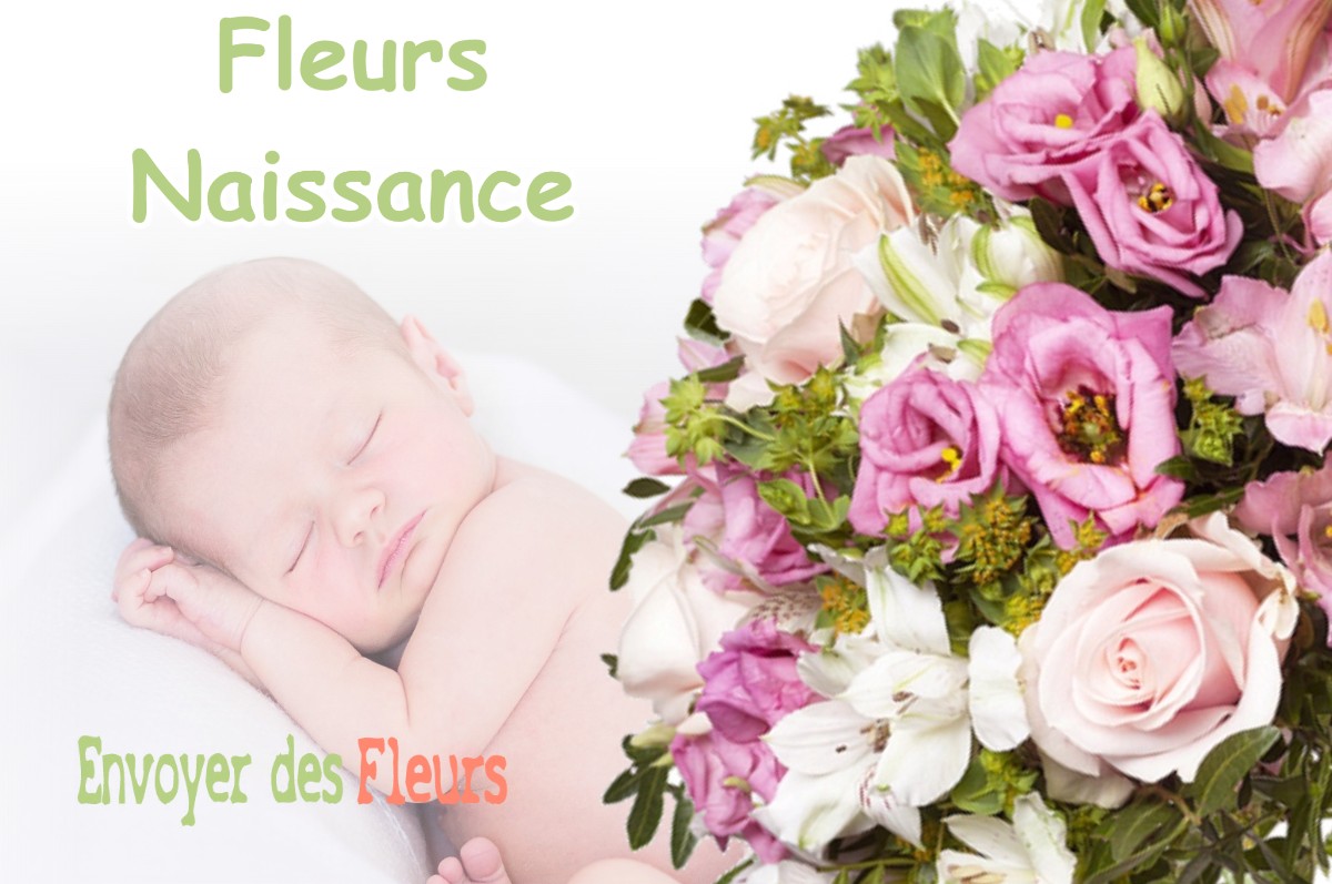 lIVRAISON FLEURS NAISSANCE à ROQUEBILLIERE